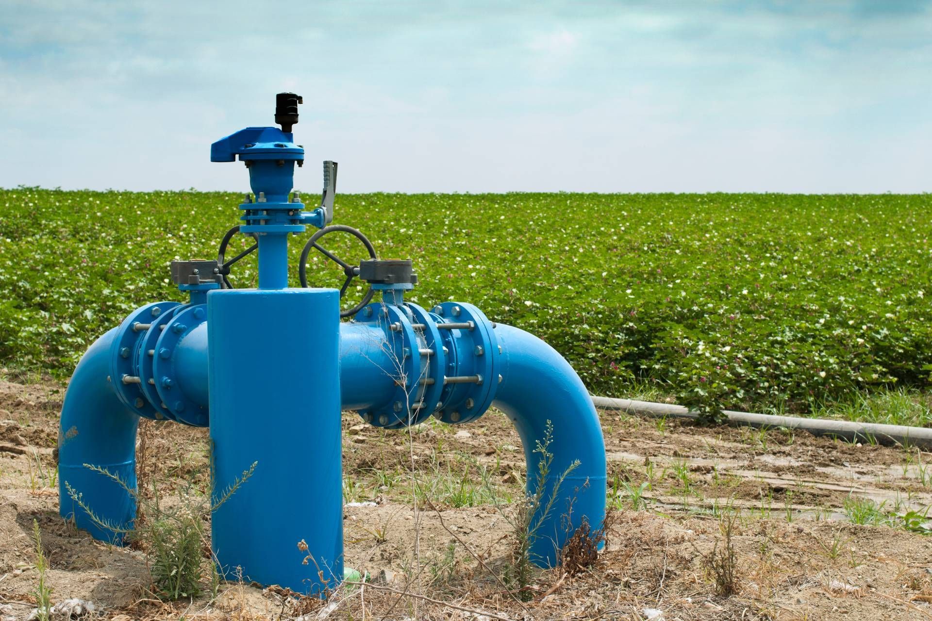 automated irrigation system