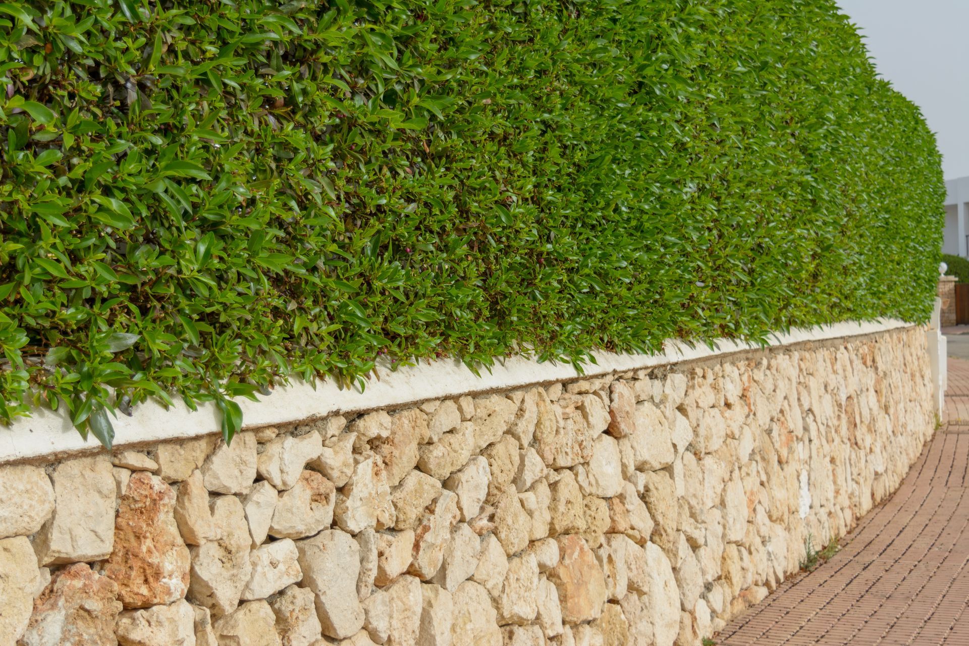 what is the purpose of a retaining wall