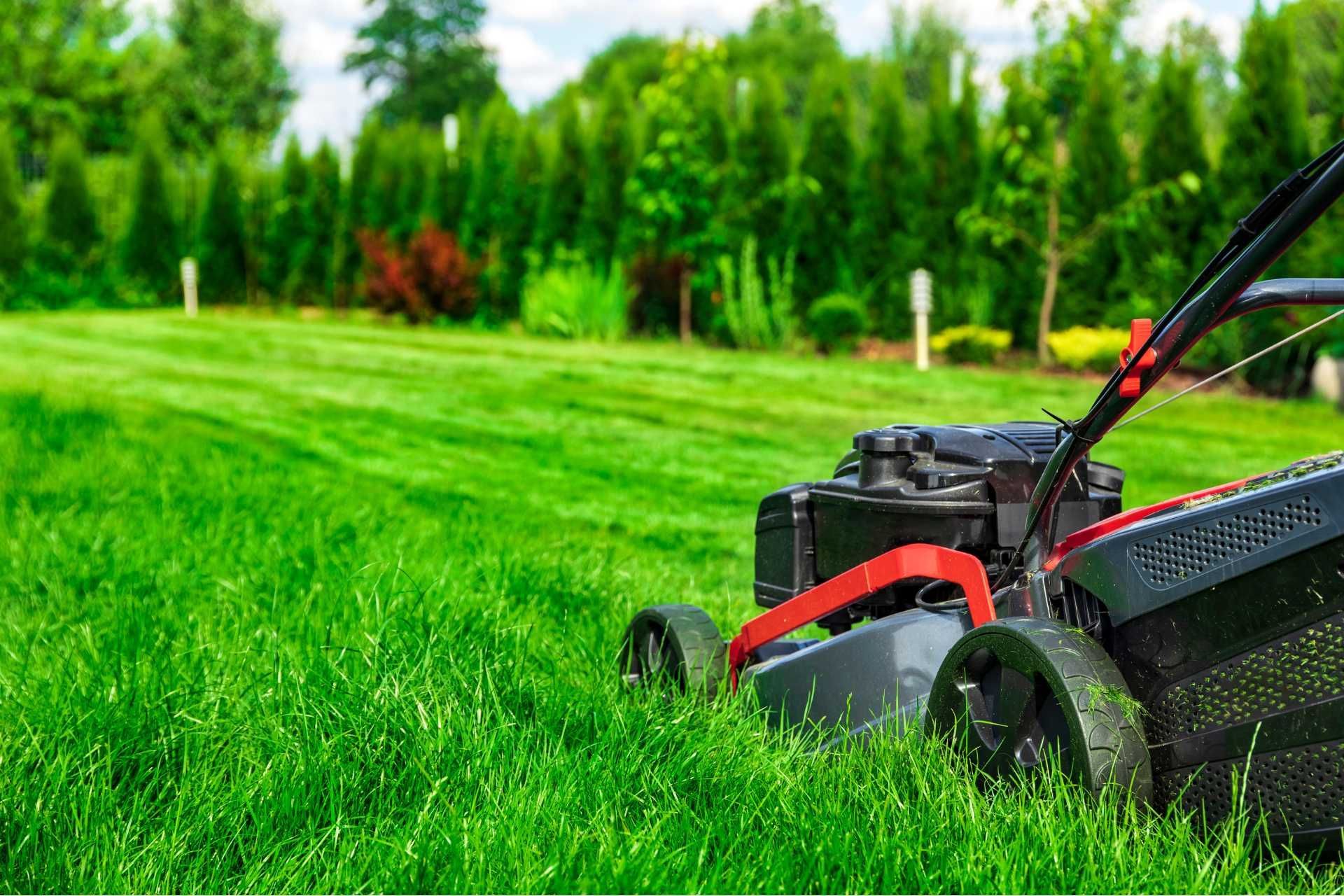 lawn mowing schedule​