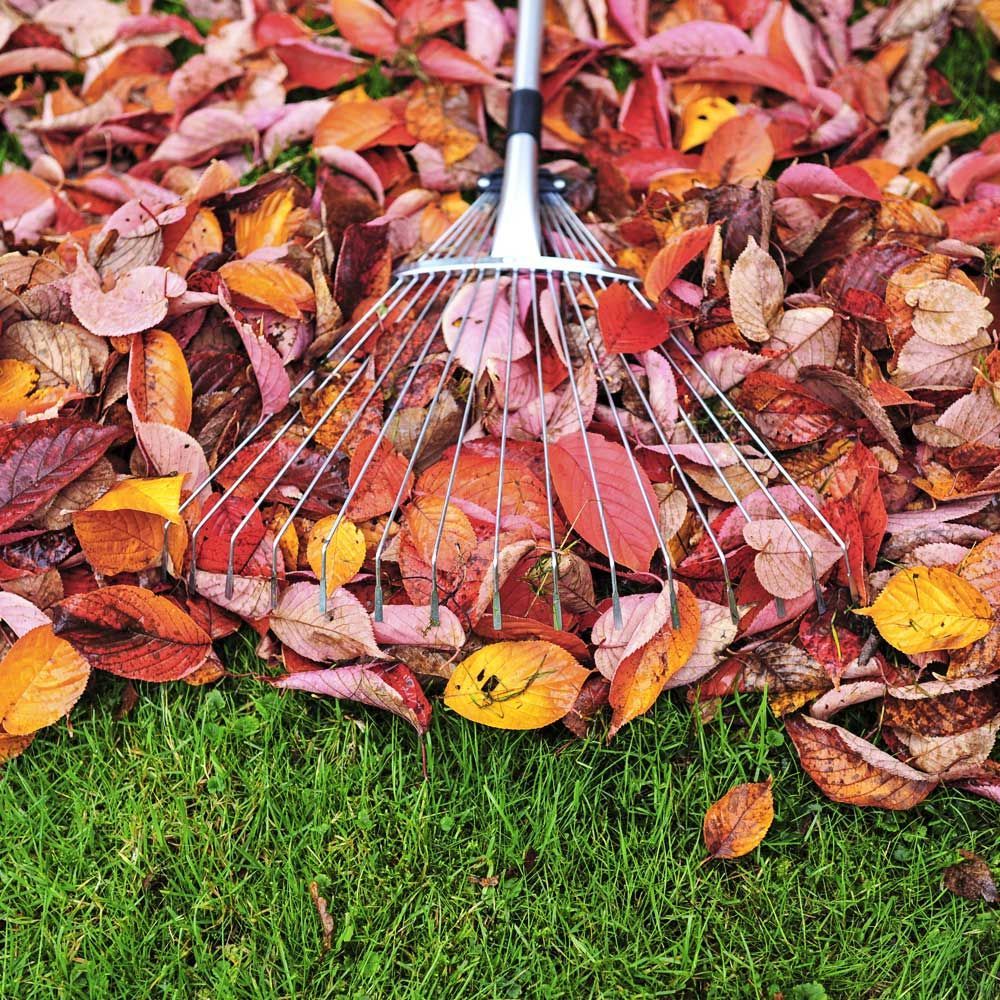 Fall CleanUp Services Lone Oak Lawns LLC