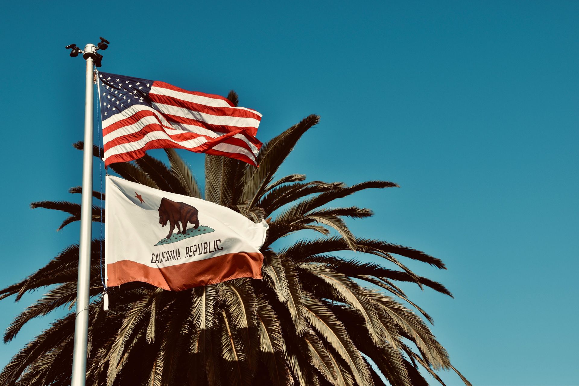 An american flag and a california flag are flying in front of a palm tree.