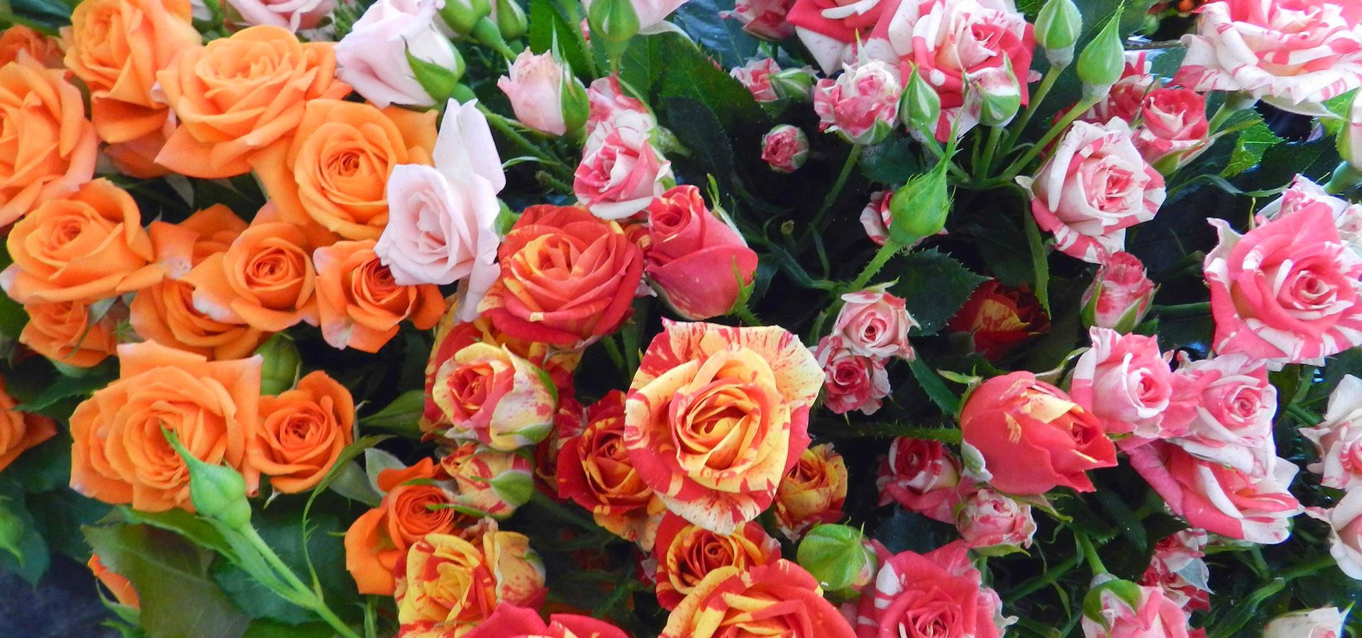 Fiori Freschi per cerimonie