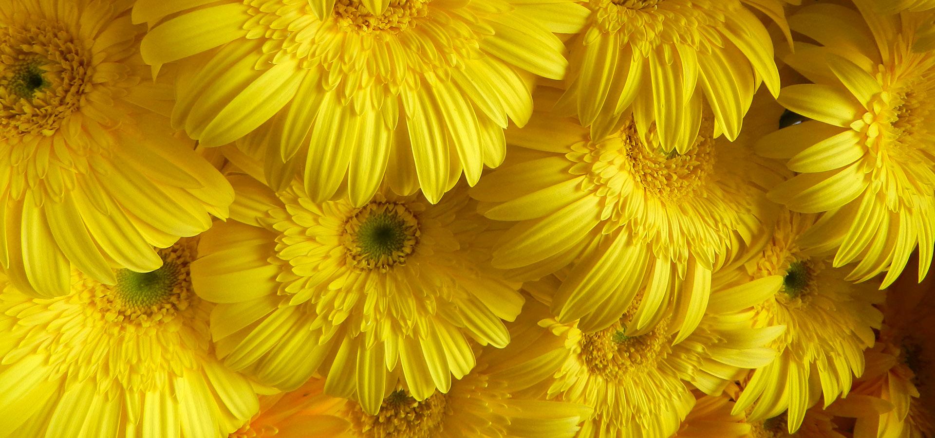 Addobbi floreali per chiese