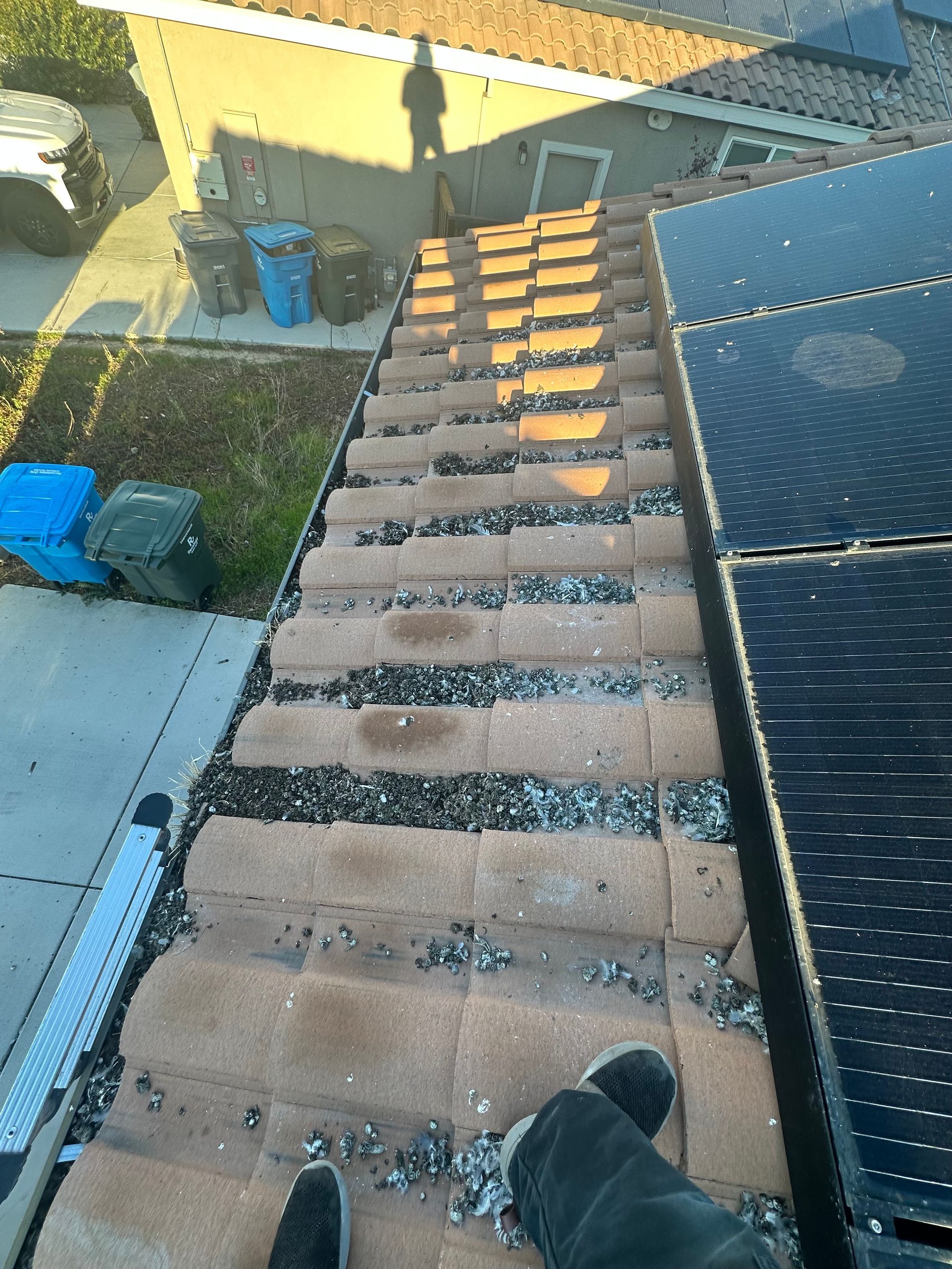 A person standing on a roof next to a solar panel