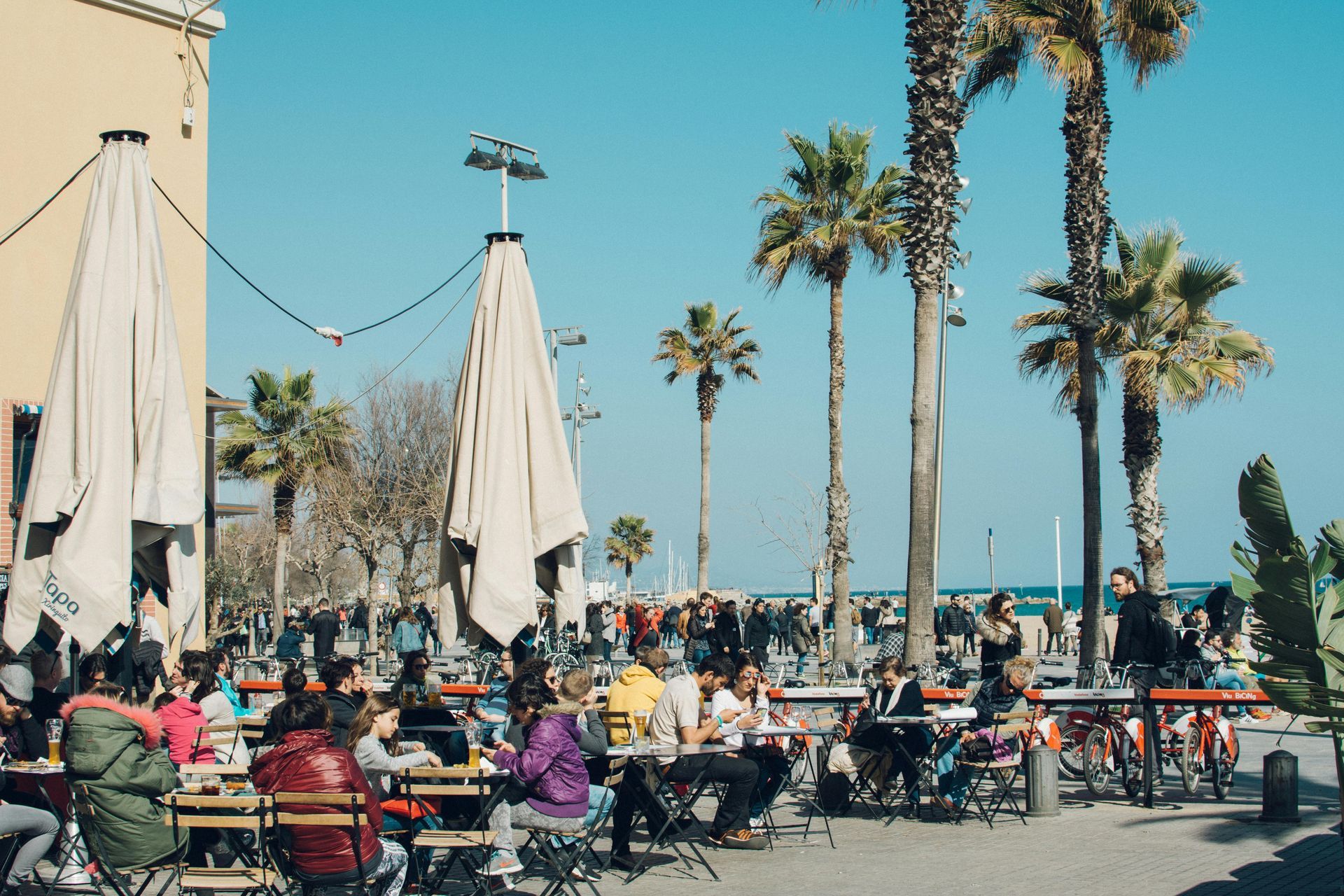 Outdoor cafe with people, palm trees, and blue sky.