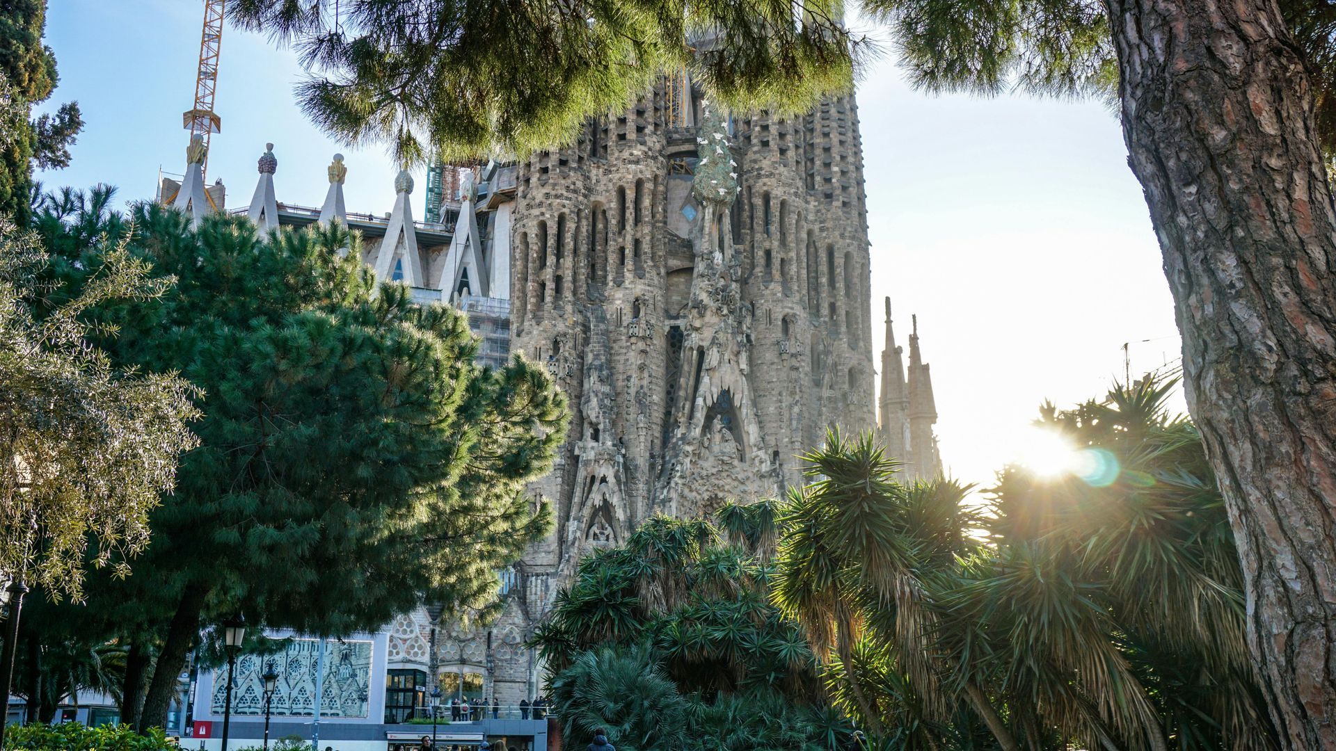 Sagrada Família church facade in Barcelona, framed by trees, with sunlight.