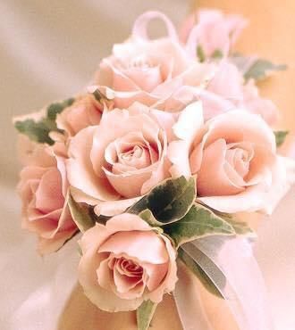 A Woman is Holding a Bouquet of Pink Roses — Flower Hunt in Robina, QLD