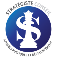 Logo Strategist Consulting