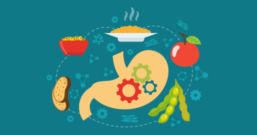 corso online di dimagrimento