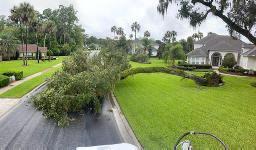 fallen tree in road in Ponte Vedra, FL