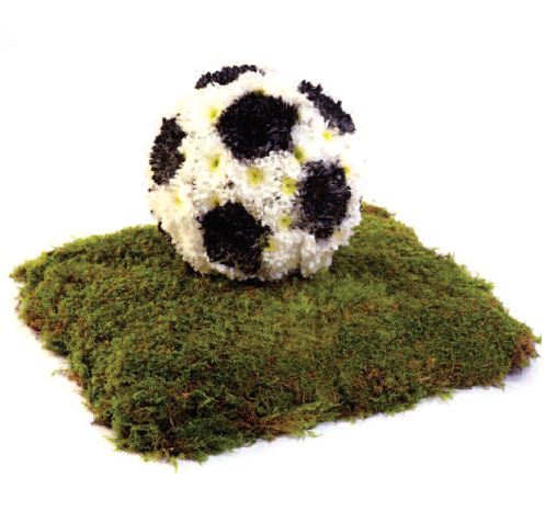 funeral arrangements