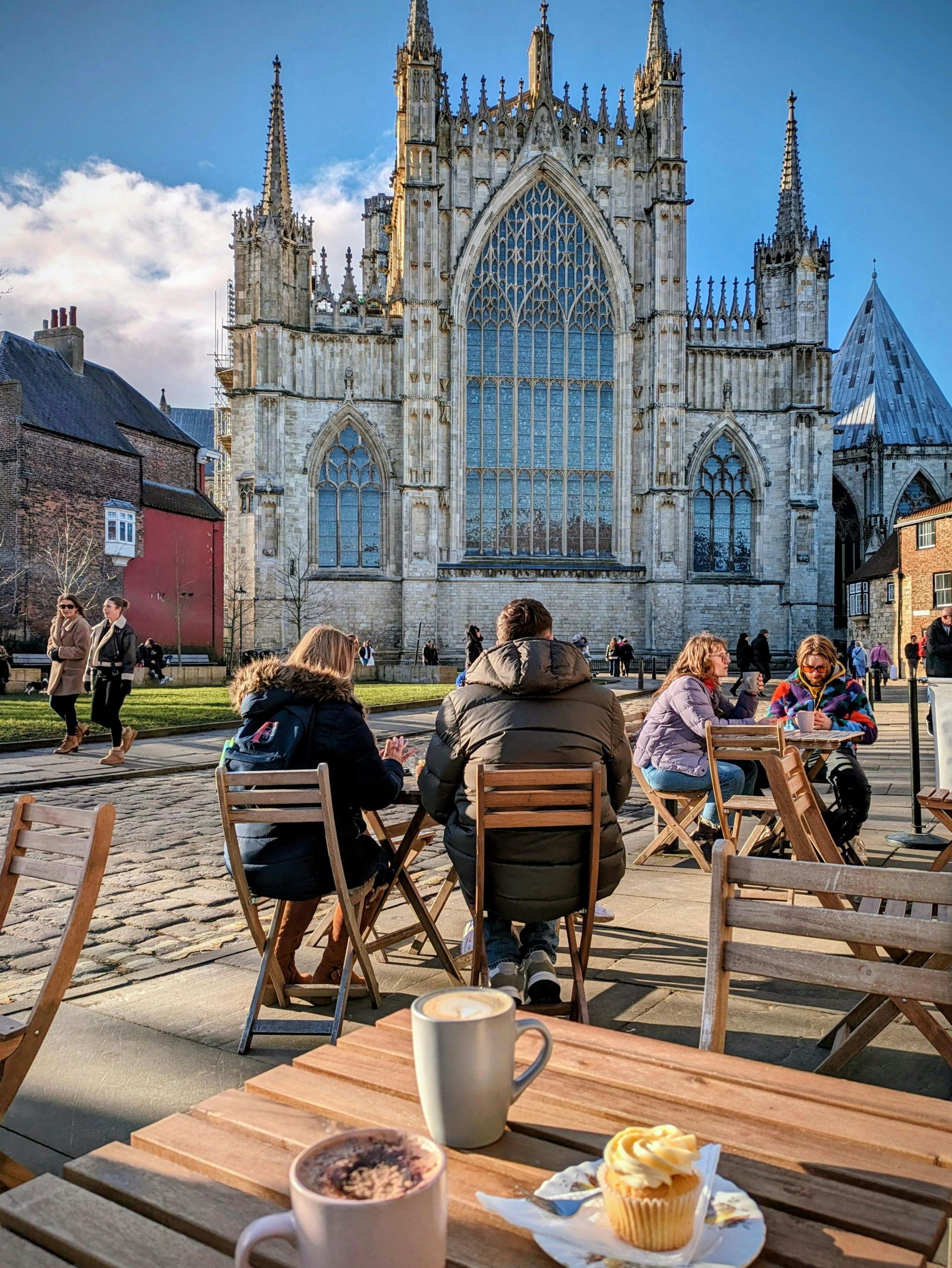 Red roses blooming among dark teal leaves