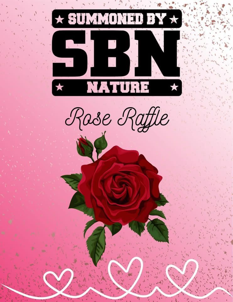A pink background with a red rose and the words summoned by sbn mature rose raffle