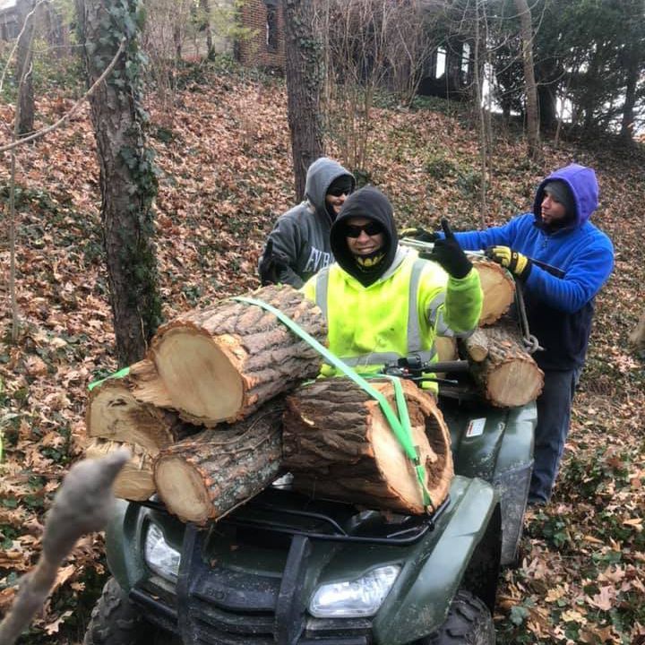 Three People Loading Logs On Quadbike - Broadview Heights, OH - Timberland Tree Services