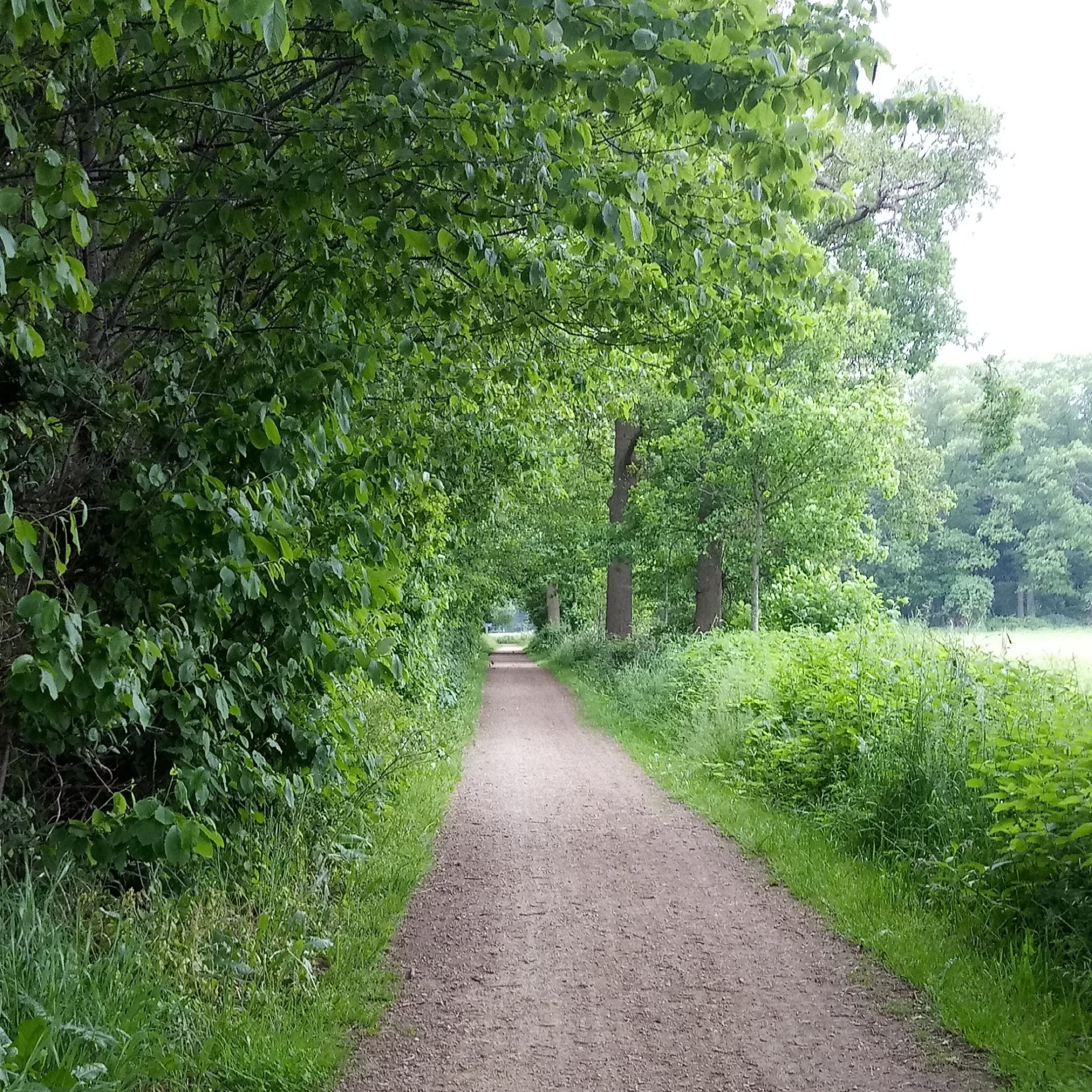 Wandelpad Heeten