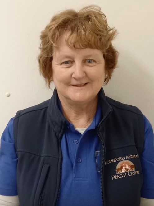 A woman wearing a vest that says london animal health care