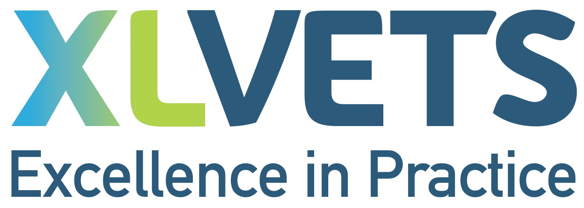 The logo for xlvets excellence in practice is blue and green.