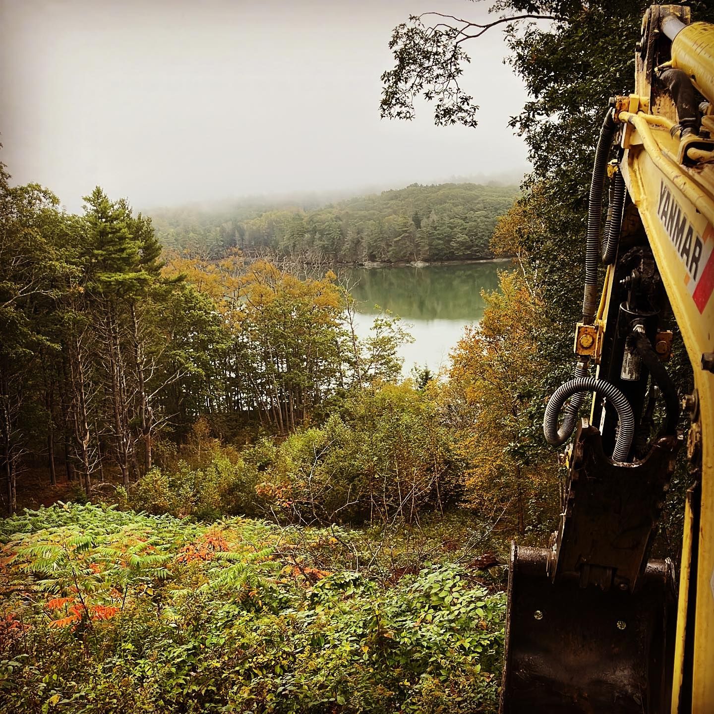 Yellow excavator arm overlooking a lake surrounded by trees on a foggy day.