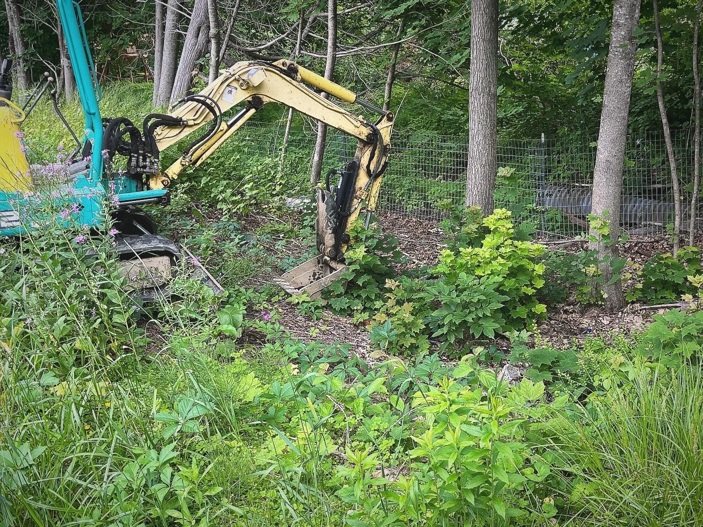 Yellow and green excavator in a wooded area, surrounded by green foliage and trees.