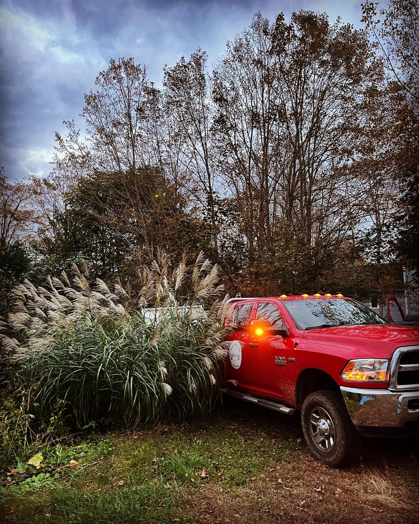 Red pickup truck parked next to tall grass and trees under a cloudy sky.
