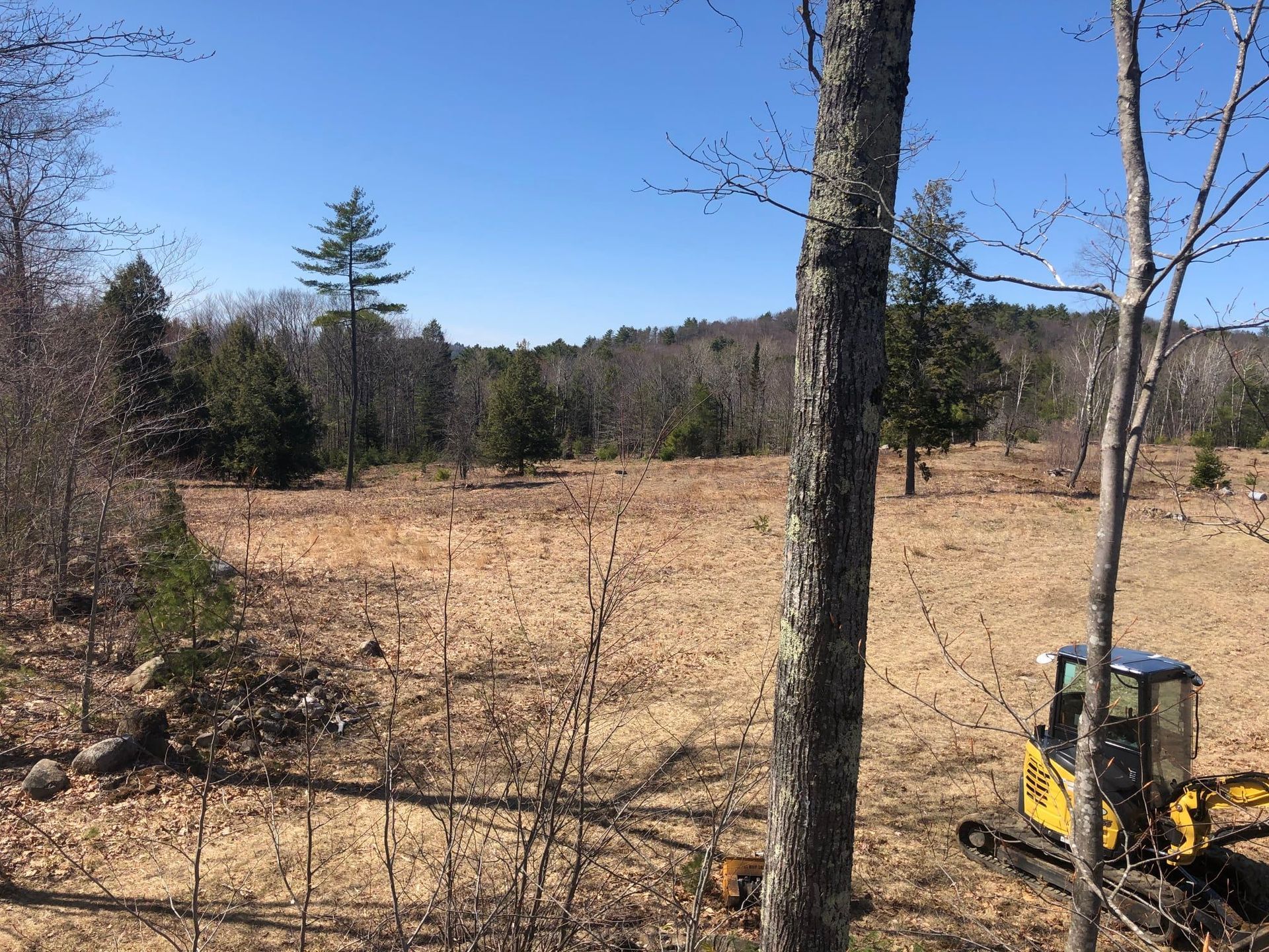 Open field with excavator, trees, and blue sky.