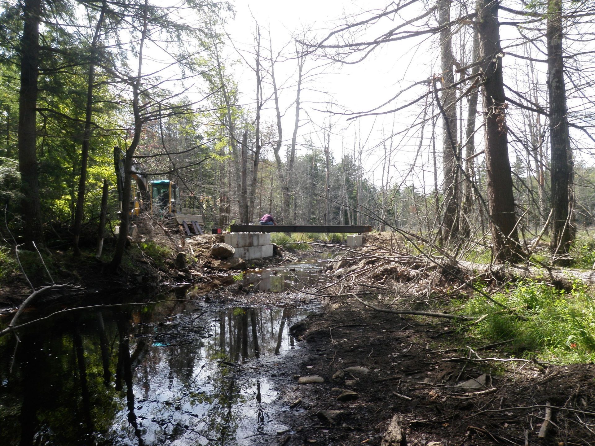 A narrow, dark stream flows under a simple wooden bridge in a sunlit forest.