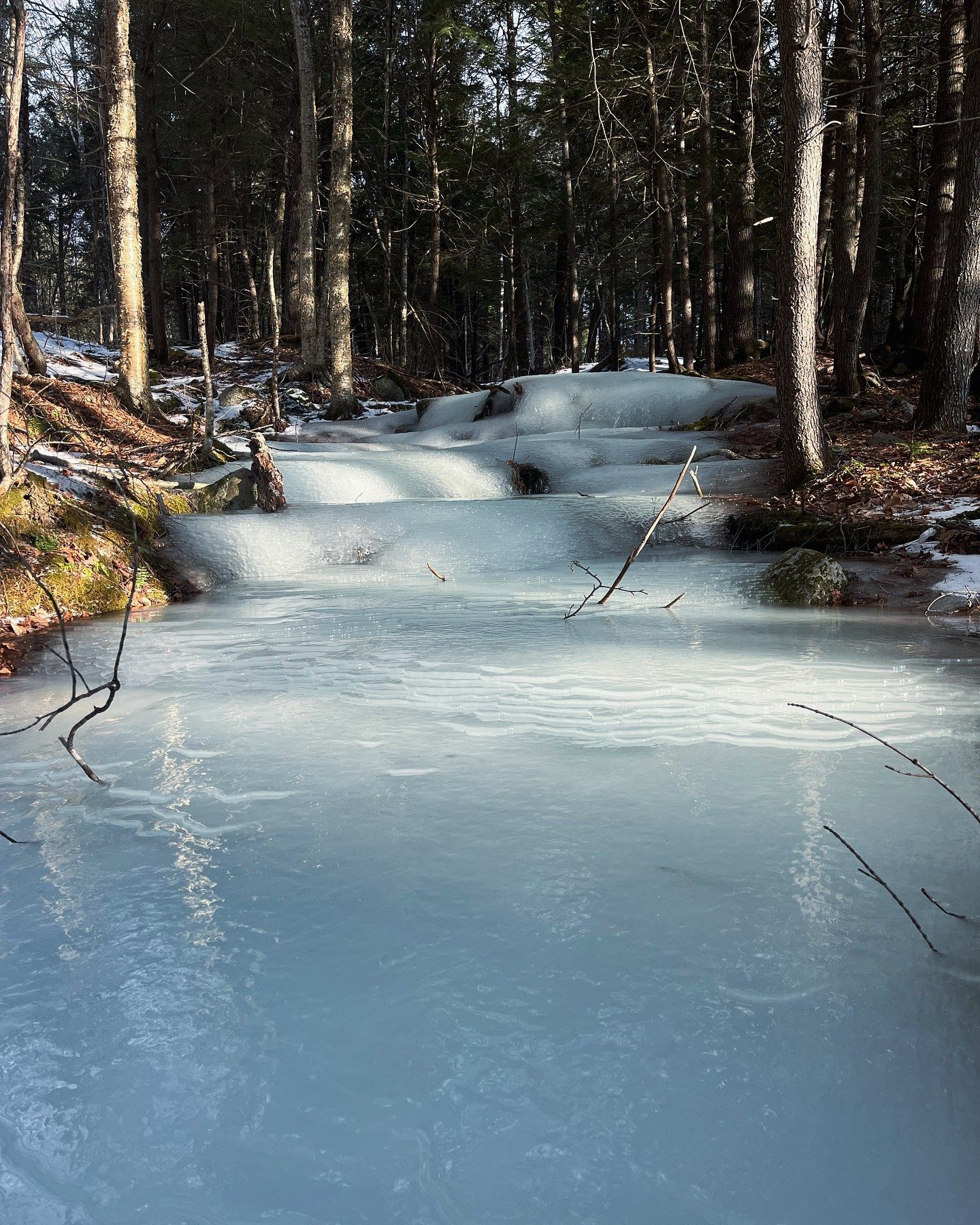 A partially frozen stream flows through a forest, with snow visible. Blue and white colors dominate.