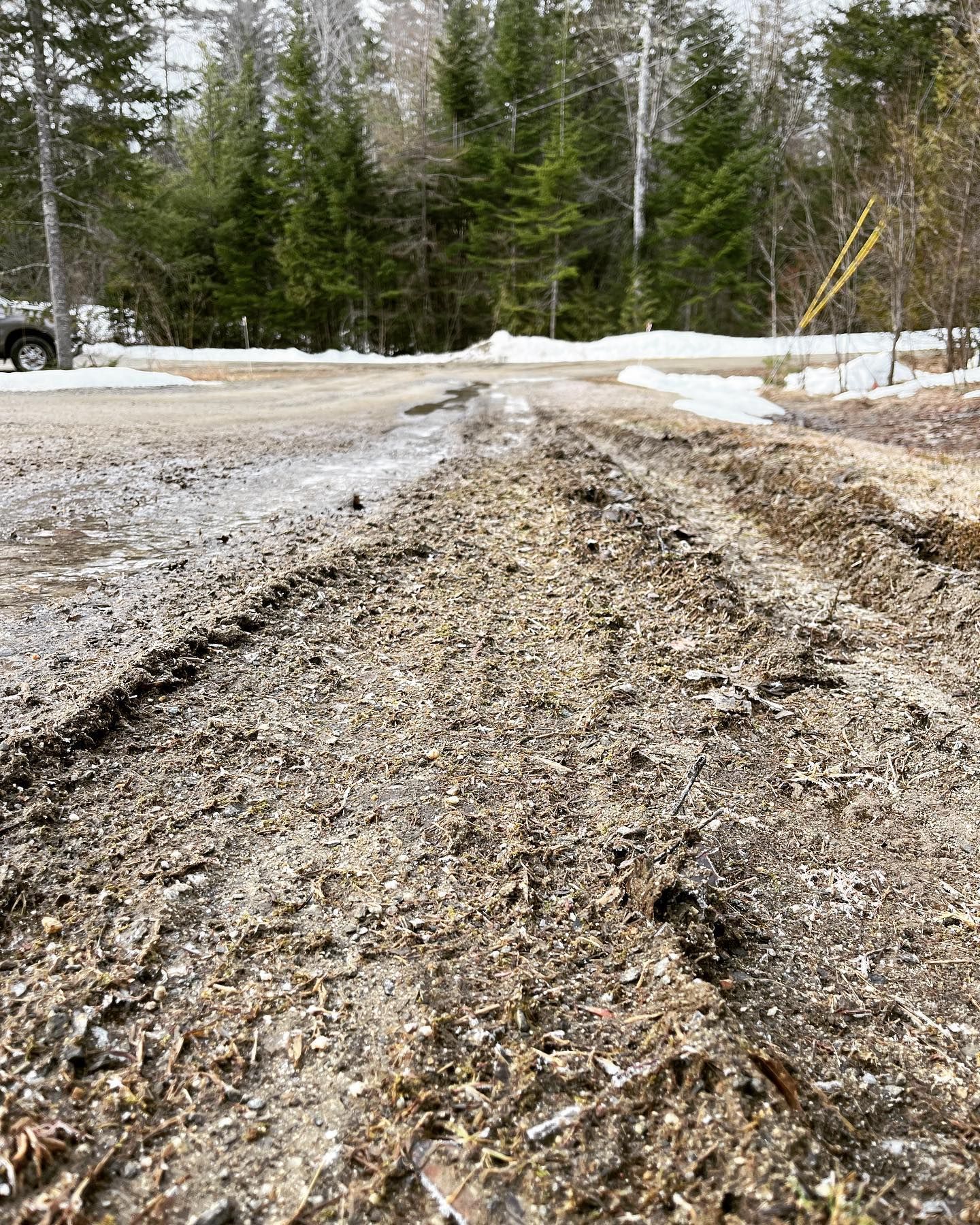 Muddy driveway covered in wood chips, leading to snow-covered ground and a forest.