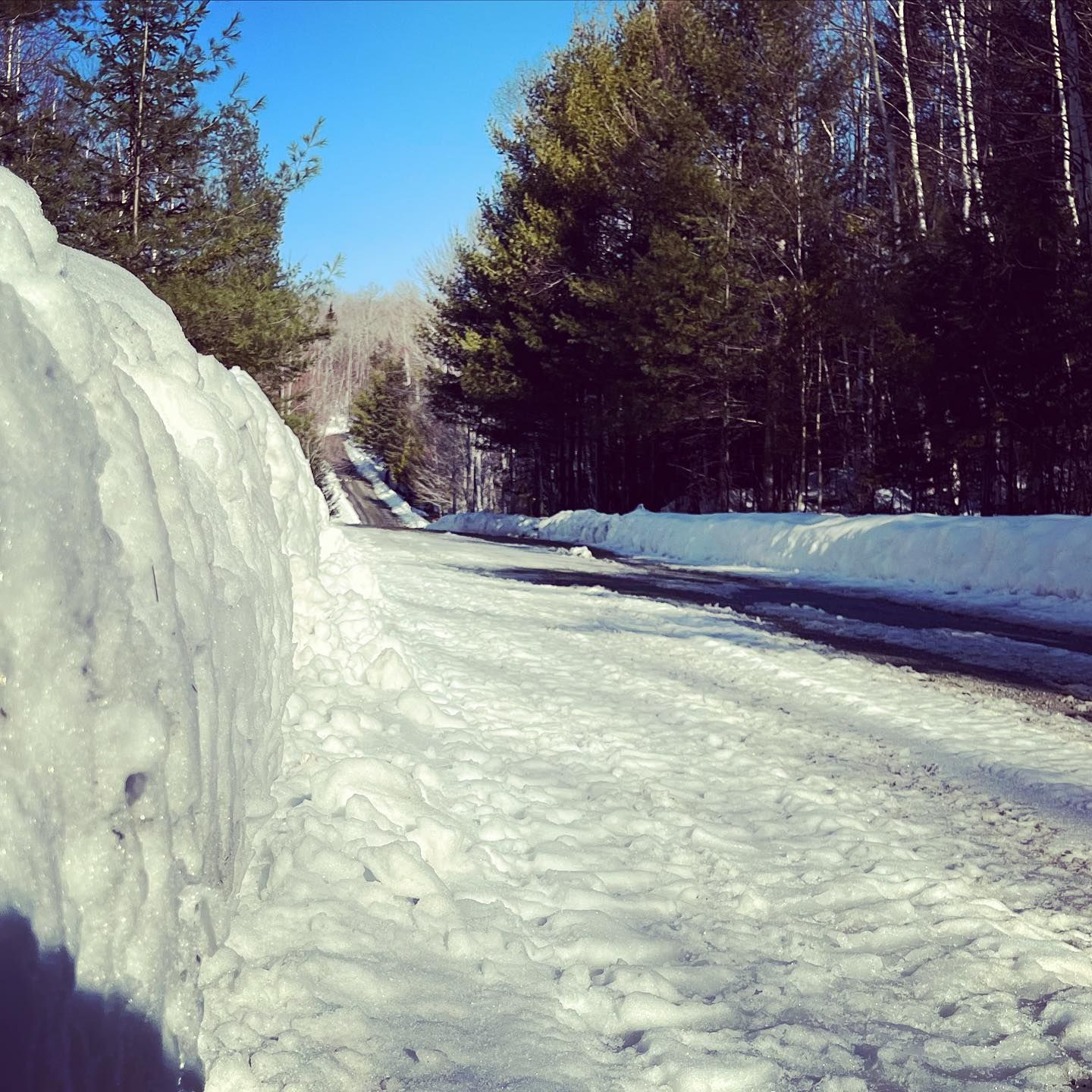 Snowy road flanked by high snow banks and pine trees under a clear blue sky.