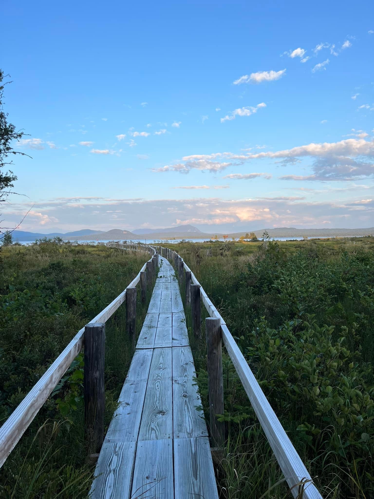 Wooden boardwalk through marshland toward distant mountains under a blue sky.