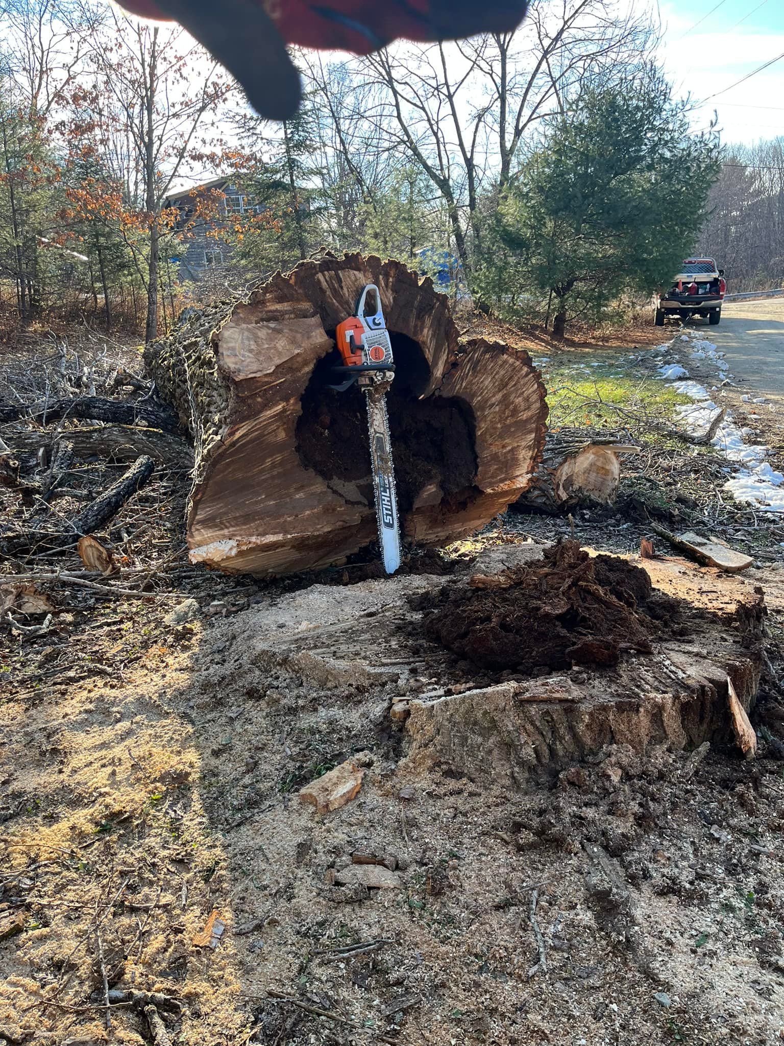 A chainsaw cutting through a large tree stump outdoors, sawdust on the ground.