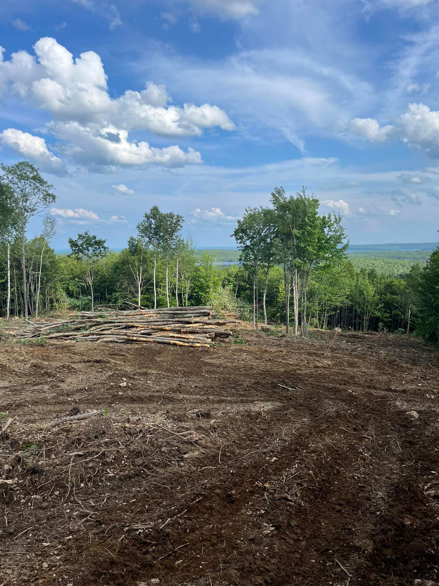 Cleared land with stacked stones, trees, and distant hills under a partly cloudy blue sky.