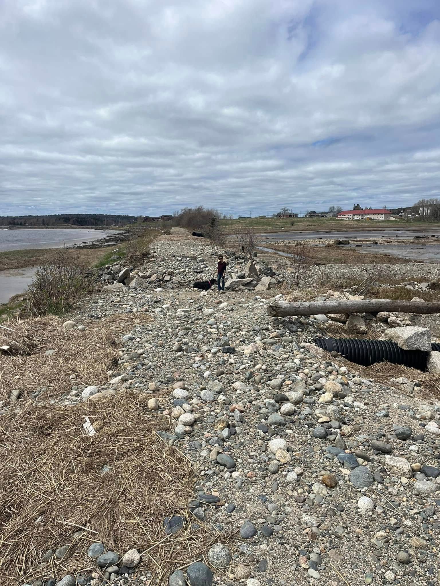 Rocky coastal path with person and dog; cloudy sky.