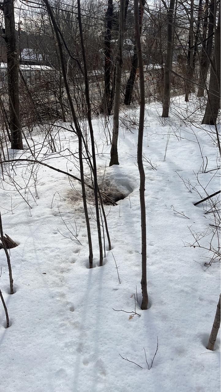 A construction worker wearing a blue hard hat is working on a roof