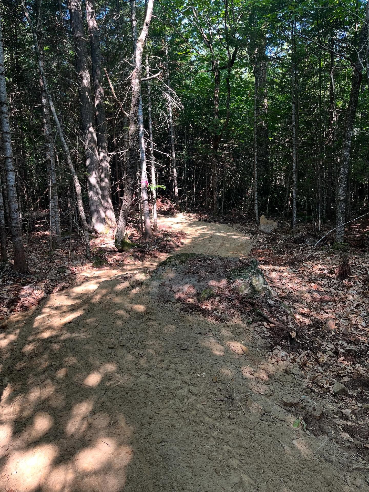 White bathtub with tiled walls in a bathroom, light brown floor, faucet on the side.