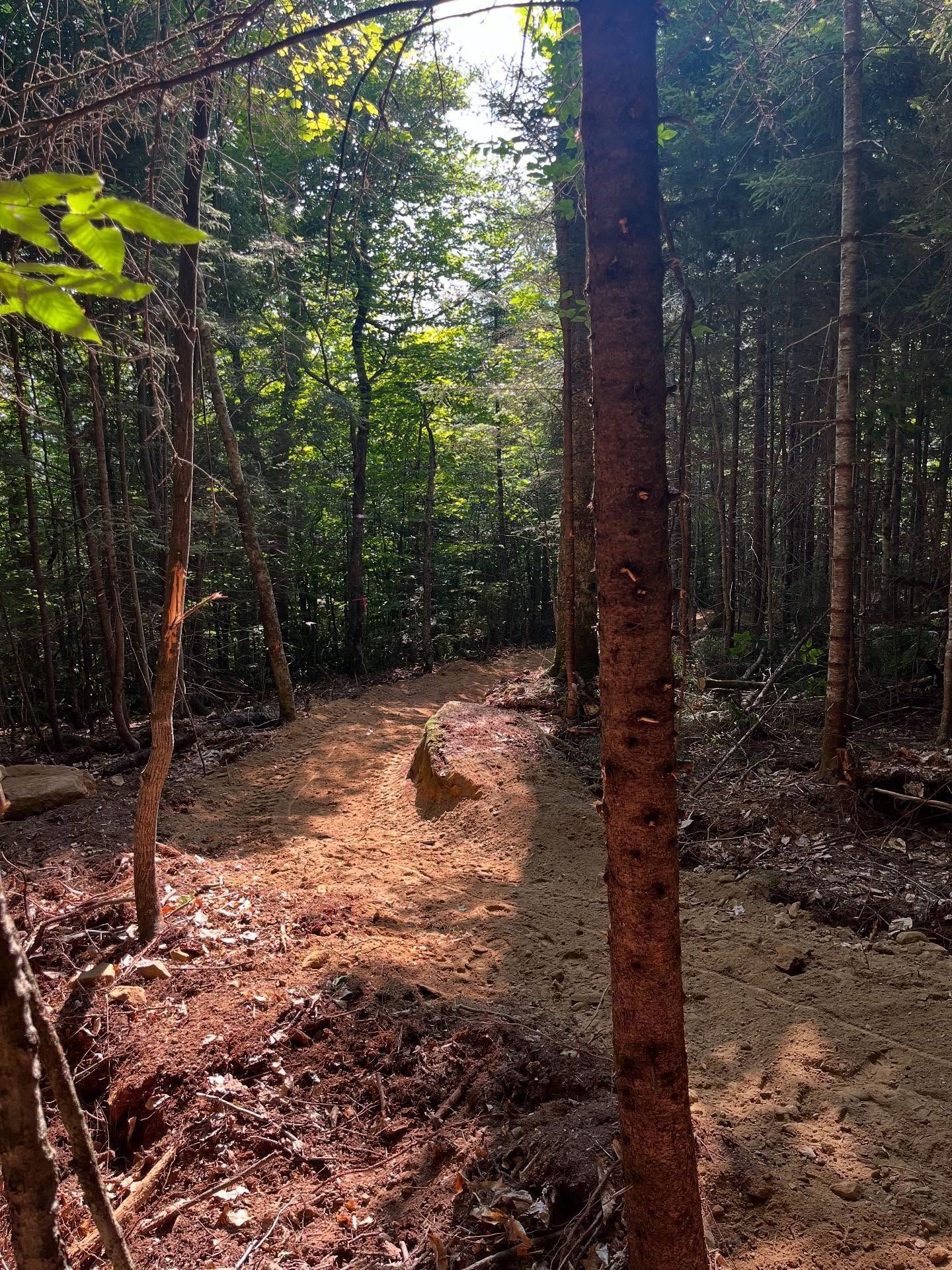 White bathtub with tiled walls in a bathroom, light brown floor, faucet on the side.