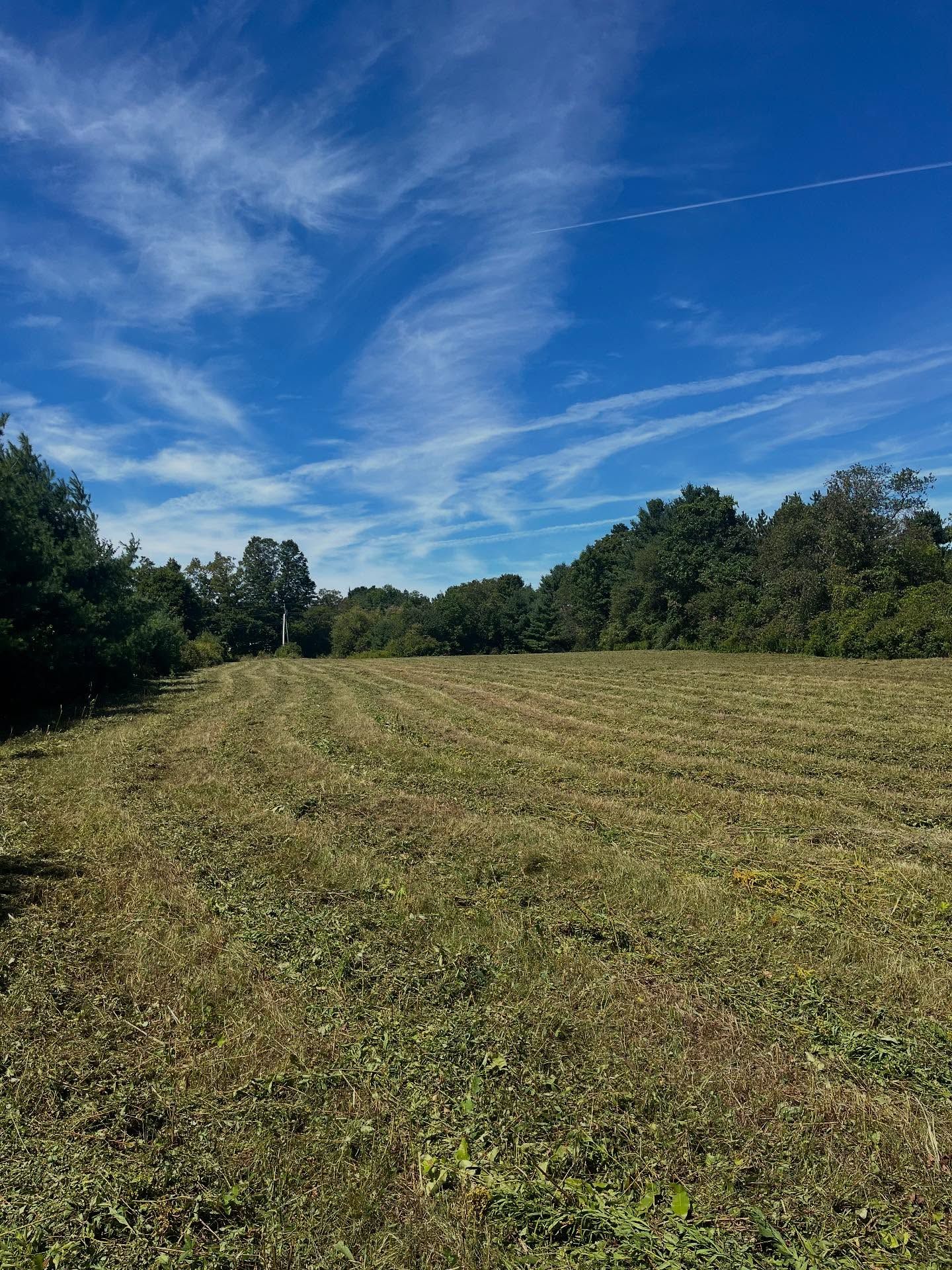 A man is working on a kitchen in a house under construction