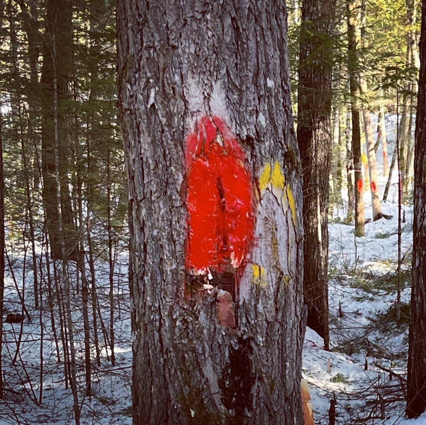 A white bathtub with beige tile walls and floor. A soap dish is mounted on the wall.