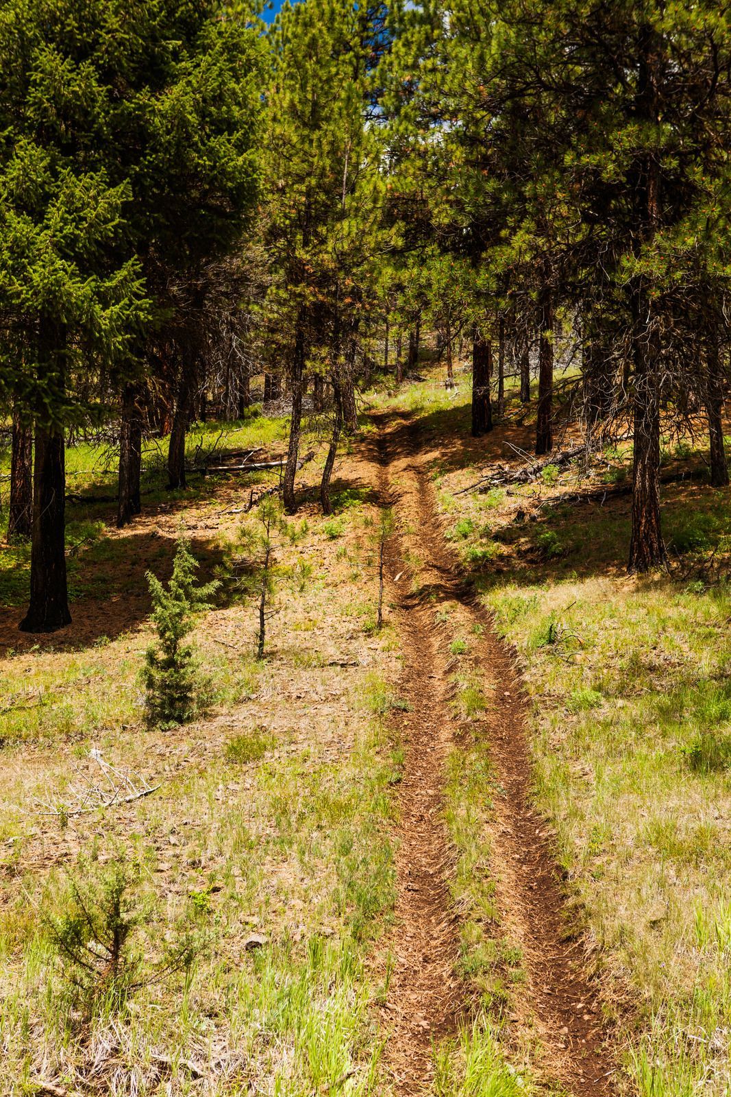 A white bathtub with beige tile walls and floor. A soap dish is mounted on the wall.