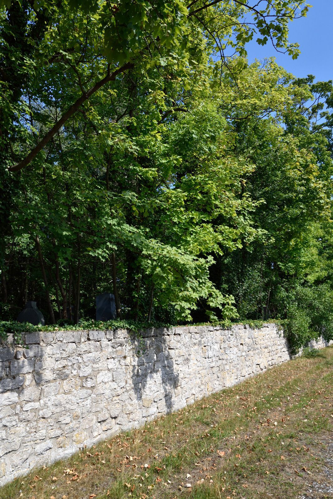 White bathtub with tiled walls in a bathroom, light brown floor, faucet on the side.