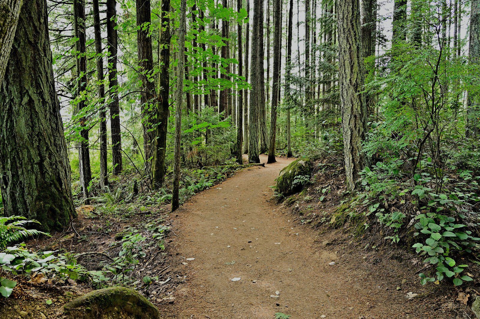 A white bathtub with beige tile walls and floor. A soap dish is mounted on the wall.