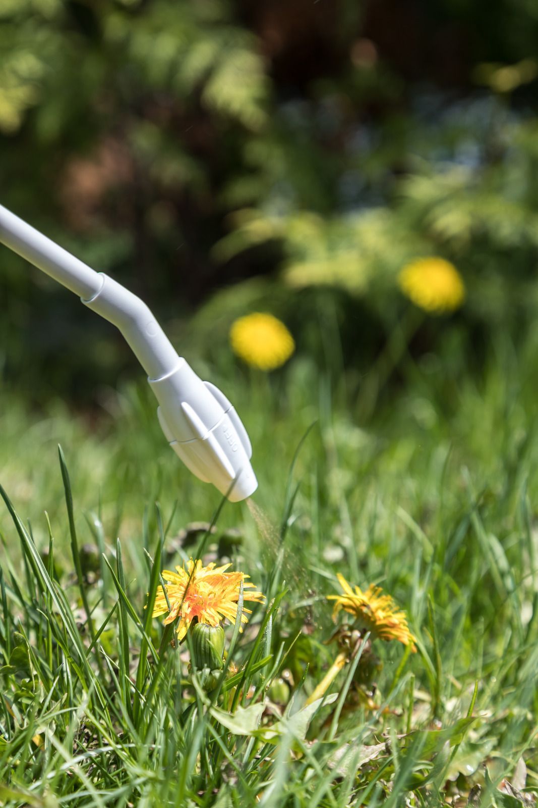 A white bathtub with beige tile walls and floor. A soap dish is mounted on the wall.