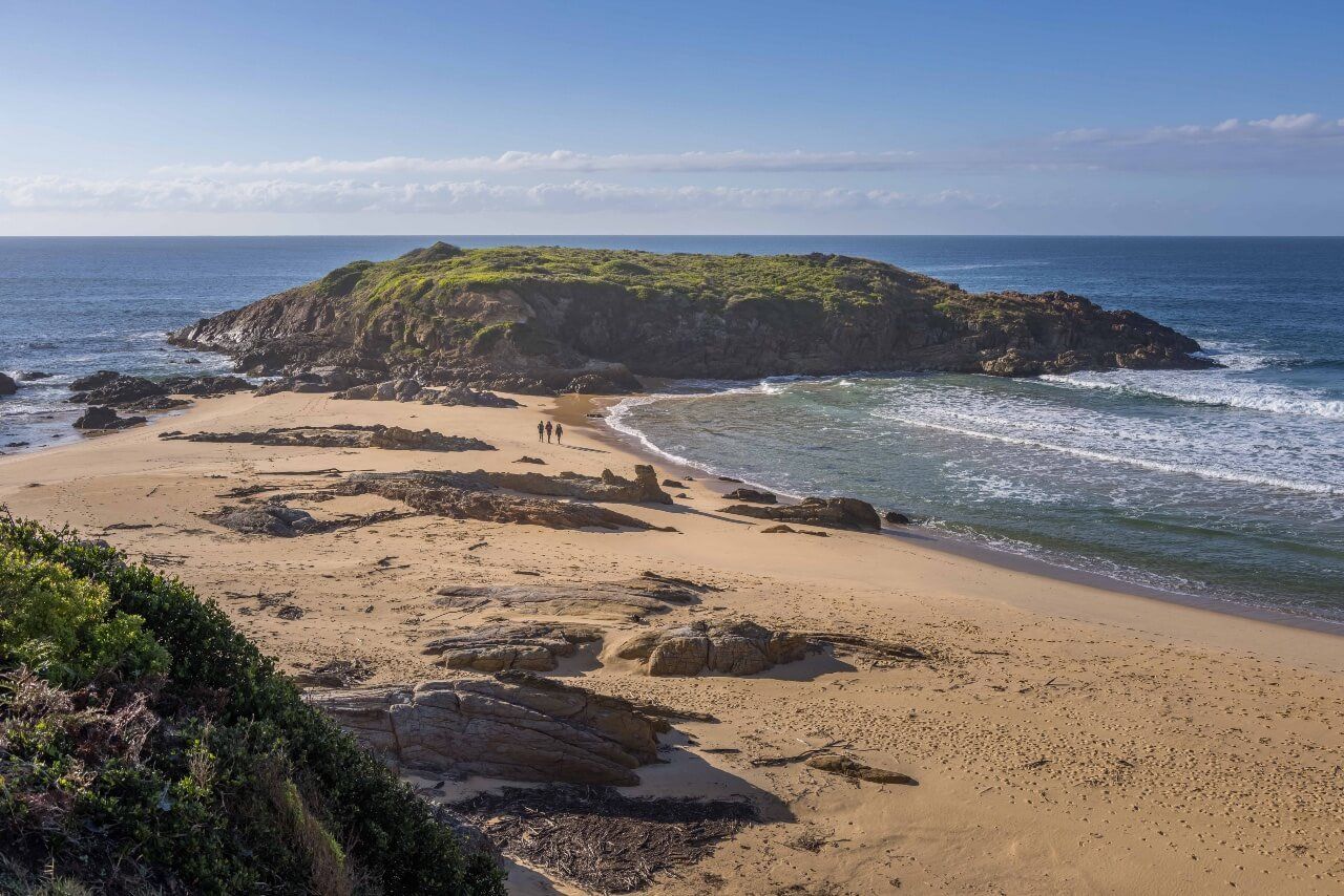 Explore the Wharf to Wharf Walk, Sapphire Coast