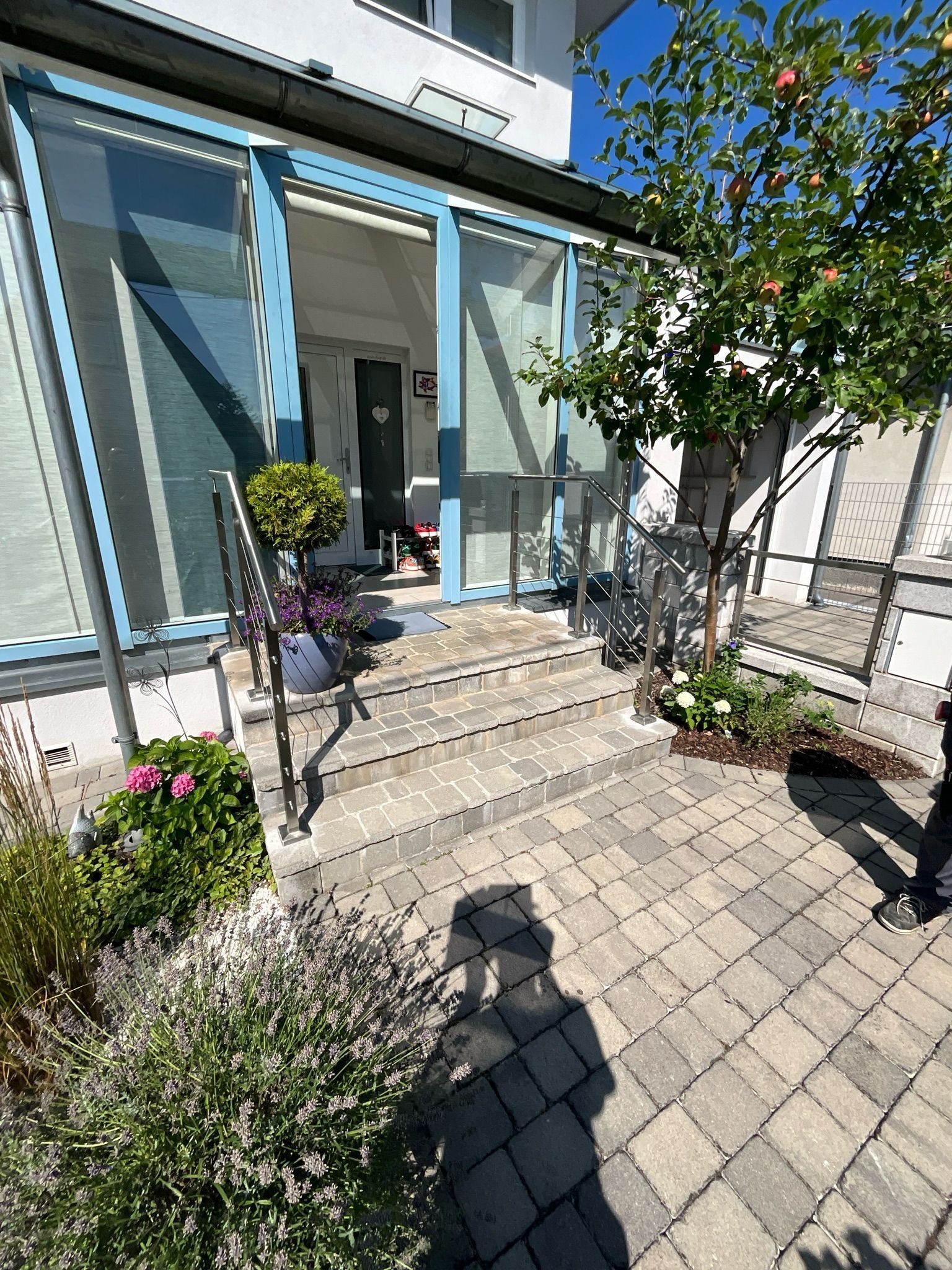 Steinstufen führen zu einem verglasten Türbogen. Ein Metallgeländer, ein kleiner Baum und verschiedene Pflanzen sind zu sehen.