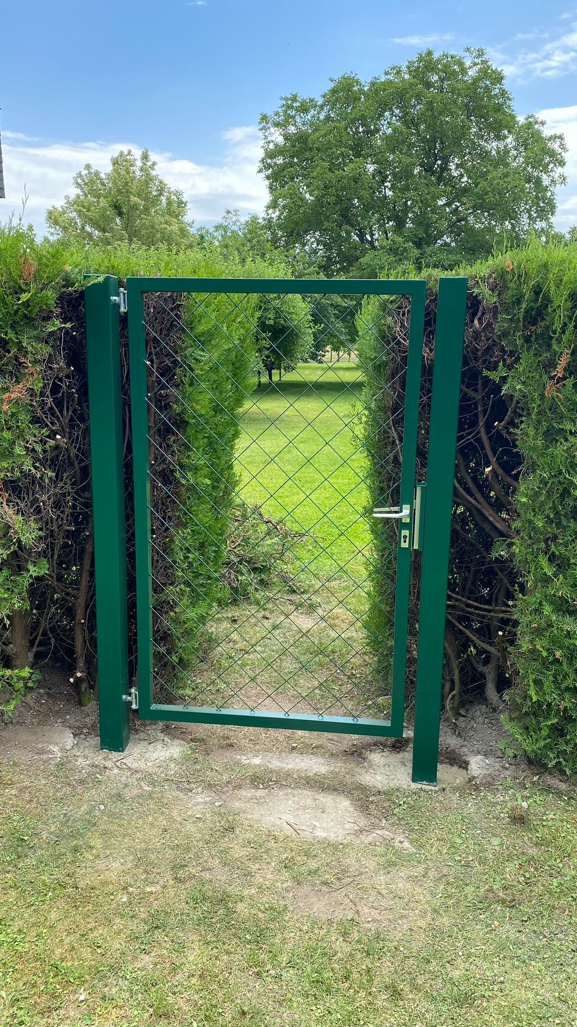 Ein grünes Tor führt zu einer Hecke in einem Garten.