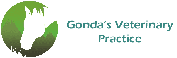 Gonda's Veterinary Practice, Maltby, Rotherham