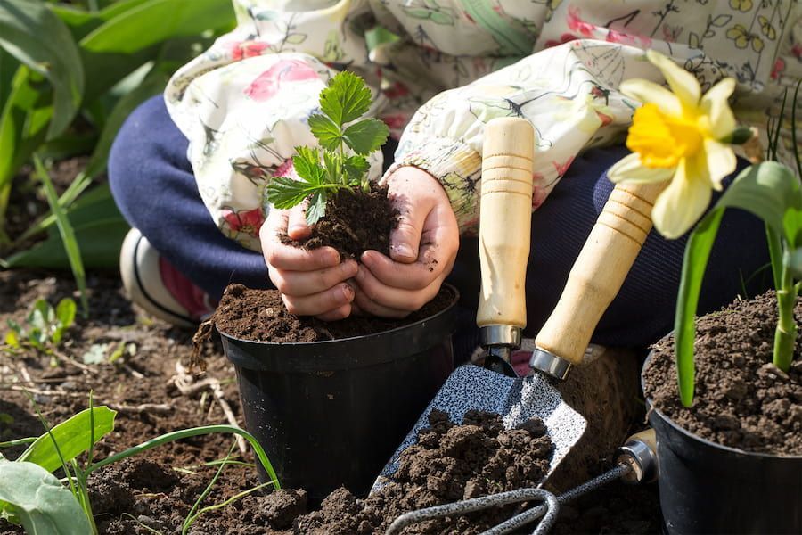 A Child is Planting a Plant in a Pot — Mt Ousley Pre School in Fairy Meadow, NSW