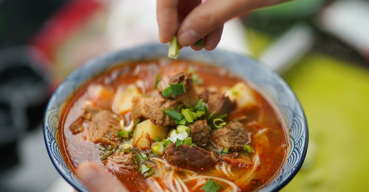A person is holding a bowl of soup with meat and noodles.