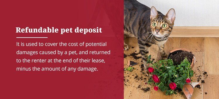 pet property damage