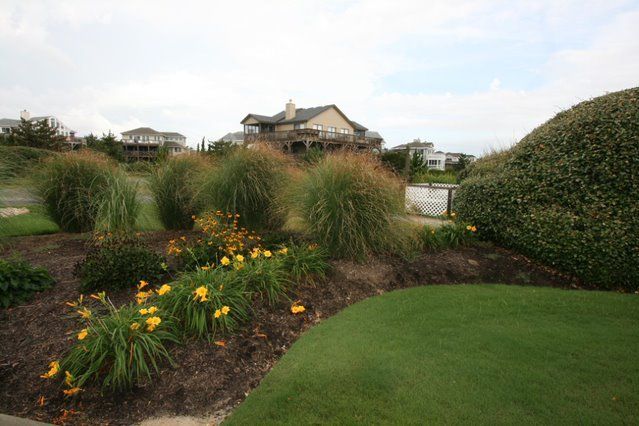 Meticulously mowed lawn with garden bed of ornamental grasses and daylillies.